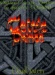 thm_CELTICPRINCE2.jpg